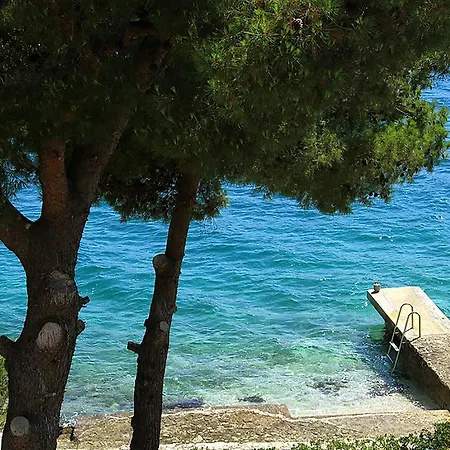 Mare *
